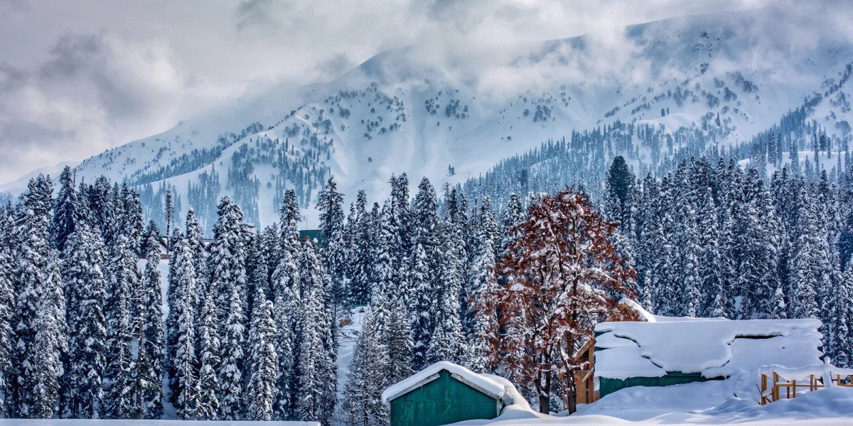 Kashmir Tour And Travels Packages: Explore the Paradise on Earth with Devza Tour and Travels