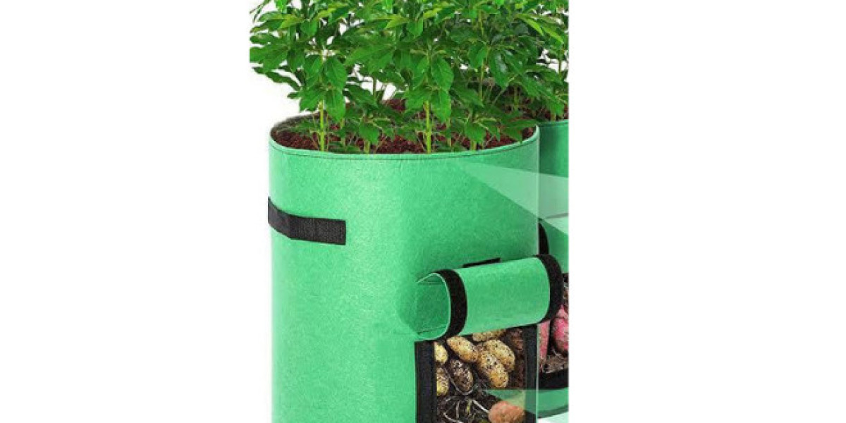 Grow Bags: The Modern Solution for Sustainable Gardening