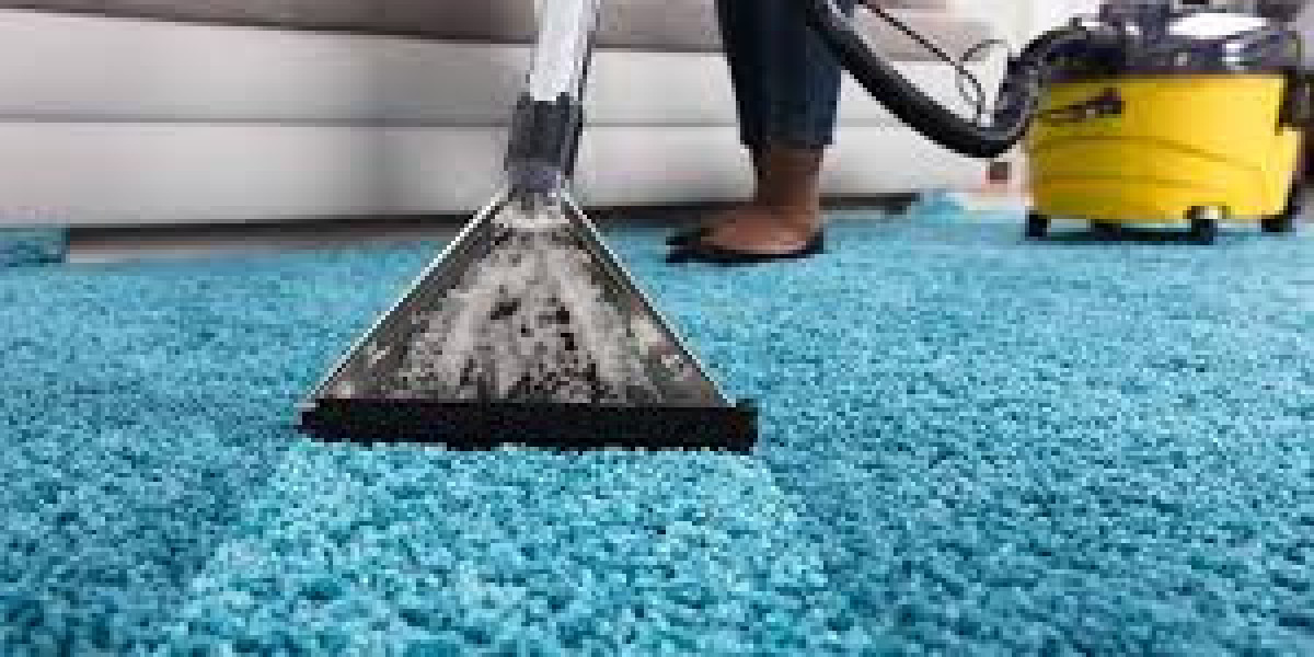 Improving Your Home’s Comfort with Professional Carpet Cleaning