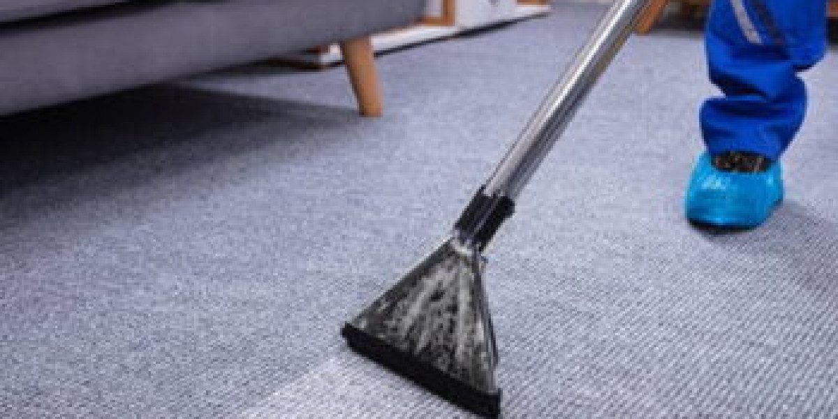 The Importance of Professional Carpet Cleaning for All Homes