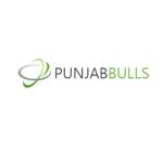 Punjab Bulls Profile Picture