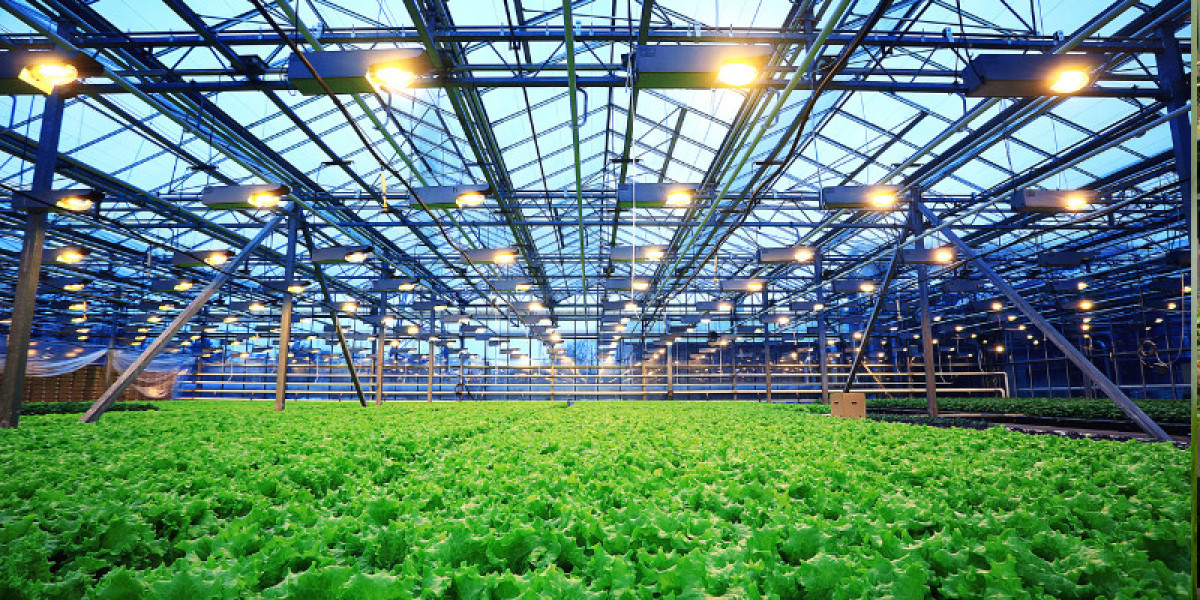 Australia Agribusiness Market: Growth, Trends, and Future Outlook (2024-2032)