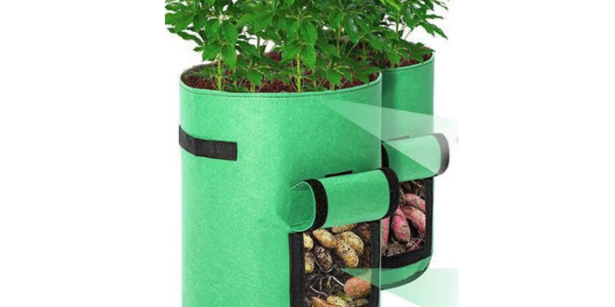 The Ultimate Guide to Plant Growing Bags: Benefits, Uses